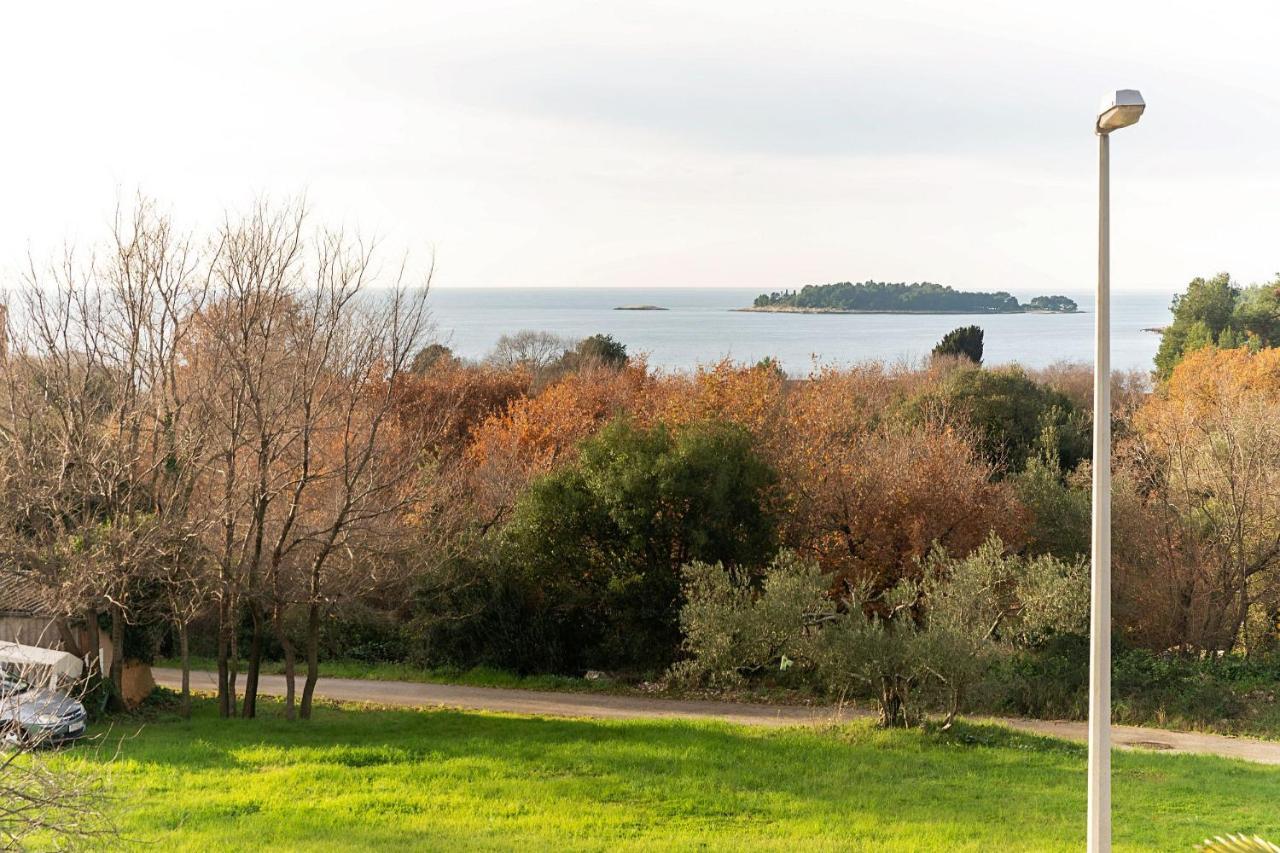 Apartments Pilicari (Adults Only) Rovinj Kültér fotó